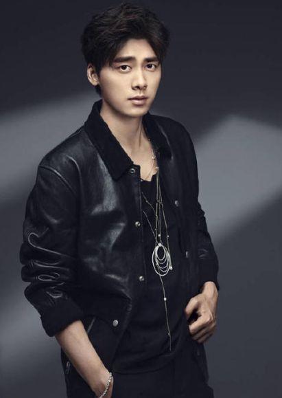 鲜肉明星,闪耀舞台的青春力量