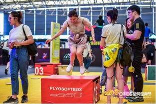 体育娱乐,激情碰撞，欢乐无限