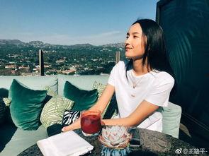 王路平资料,从基层奋斗到行业翘楚的传奇人生