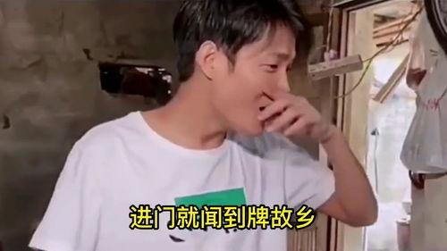 流行的搞笑歌曲,笑破肚皮！盘点年度最火搞笑歌曲大盘点