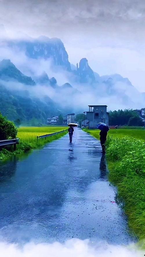 细雨蒙蒙图片,诗意盎然的雨中画卷