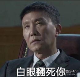 陆毅回应表情包,回应网友热议