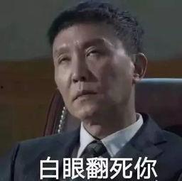人民的名义表情包报,网络时代的政治讽刺与共鸣