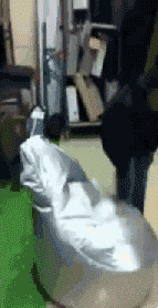 网红邪恶动图,邪恶瞬间引发热议