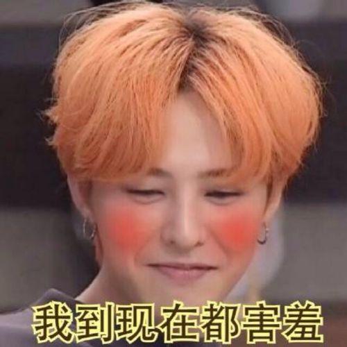 GD搞笑表情包,笑出腹肌的瞬间，带你领略网络幽默的魅力